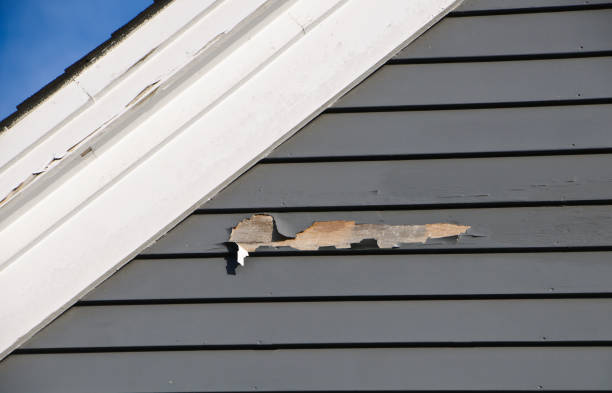 Clayton, NM Siding Installation & Repair Company